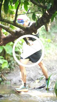 BIB:  <button type="button" onclick="openModal(27522420)" class="btn btn-primary btn-sm float-right" data-toggle="modal" data-target=".modal-high-quality">
                <i class="fa fa-download"></i> Download
                </button>